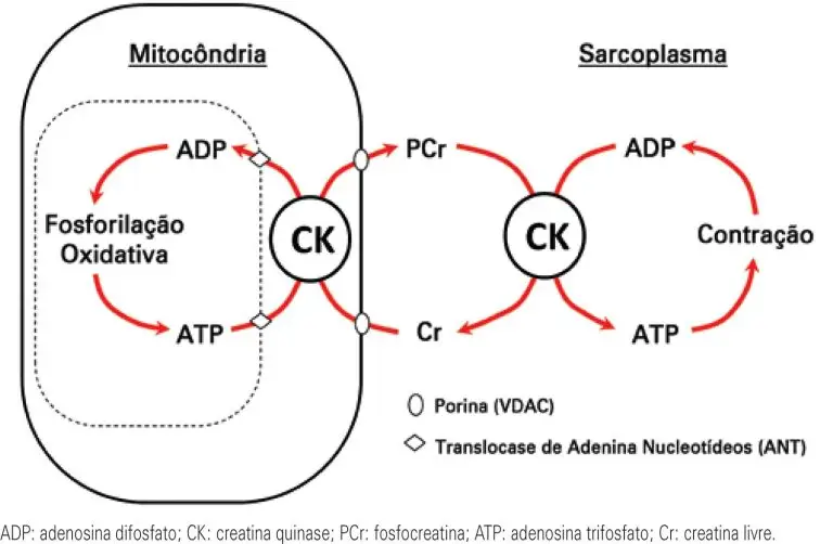 Exercício de pescoço